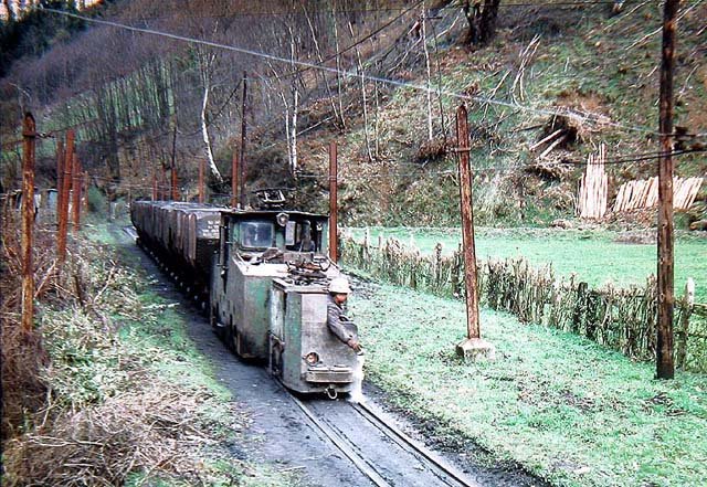 Cerezal.jpg (139.46 KiB) Visto 15301 veces Cerezal.jpg